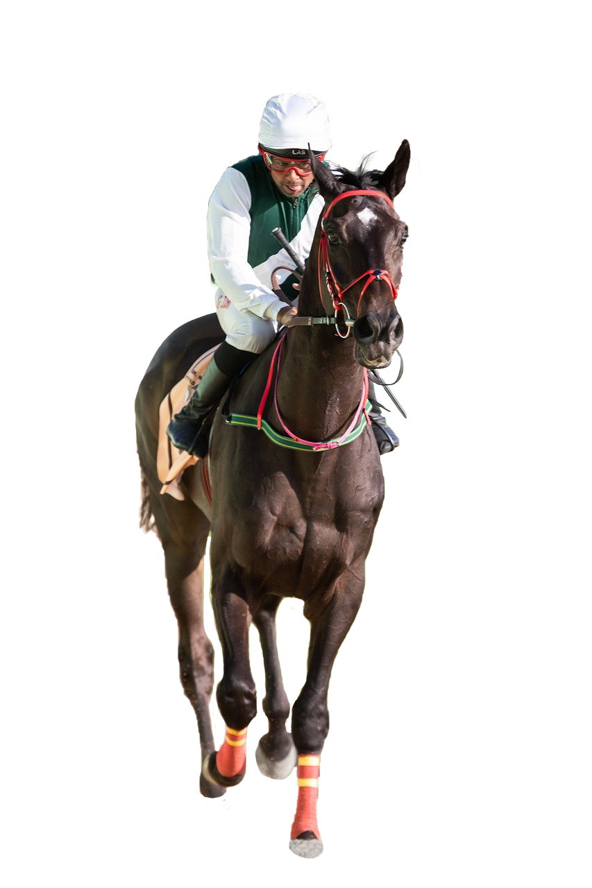 Image principale La Casaque